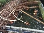 IMG-20230921-WA0000_copy_144x108