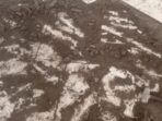 IMG-20231028-WA0337_copy_512x384