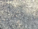 Screenshot_20231206-174639_copy_288x424