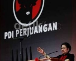 images(90)_copy_264x358