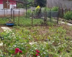 IMG-20240622-WA0331