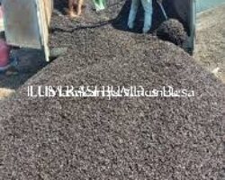 images (48)_2