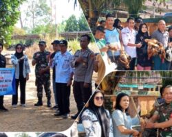 Oplus_0