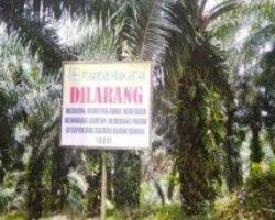 images (90)