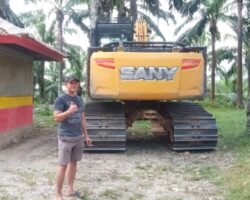 IMG_20241031_75859