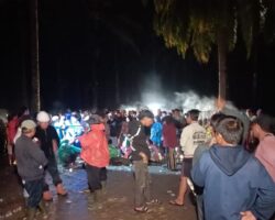 IMG_20241108_192952